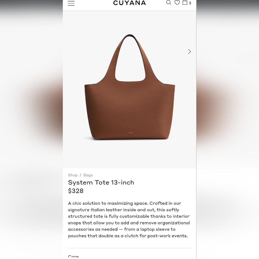 Cuyana 13inch System Tote In Chestnut